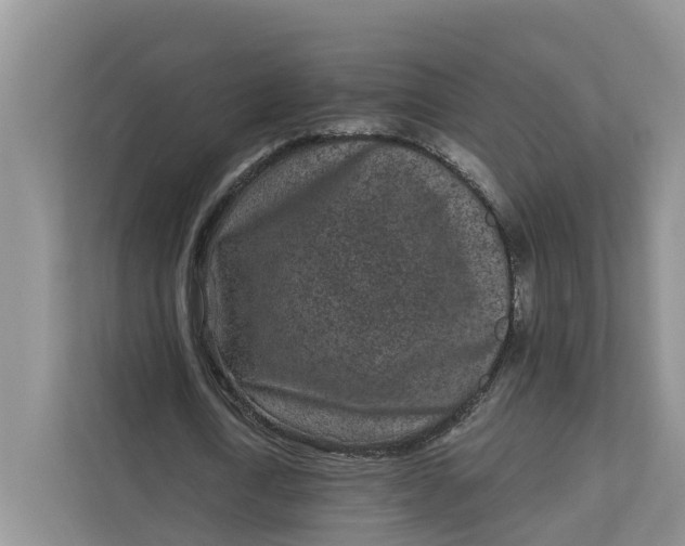 X0000111870722200908061253