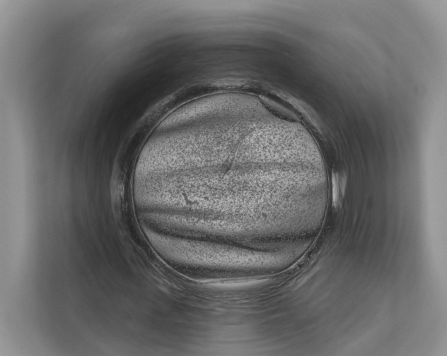 X0000111870723200908061253