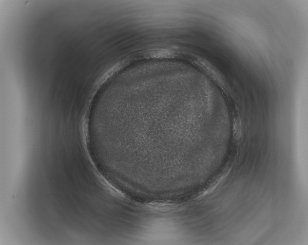 X0000111870725200908061253