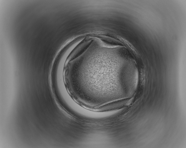 X0000111870726200908061253