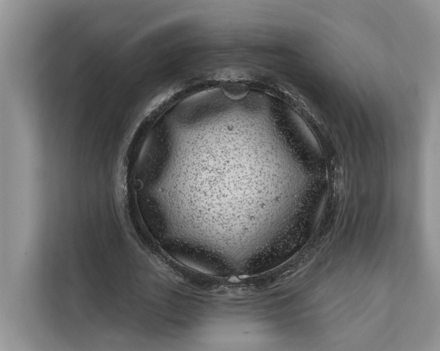 X0000111870727200908061253