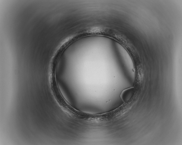 X0000111870728200908061253