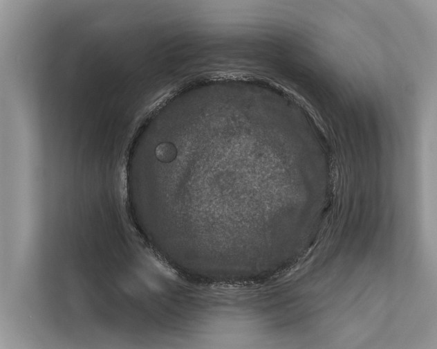 X0000111870729200908061253