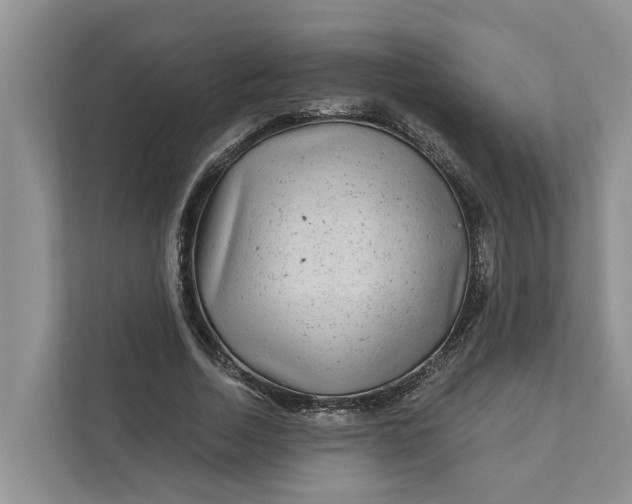 X0000111870730200908061253