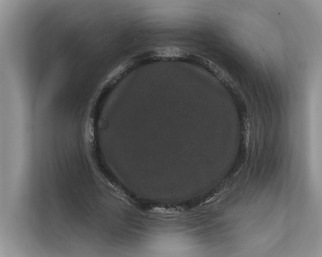 X0000111870731200908061253