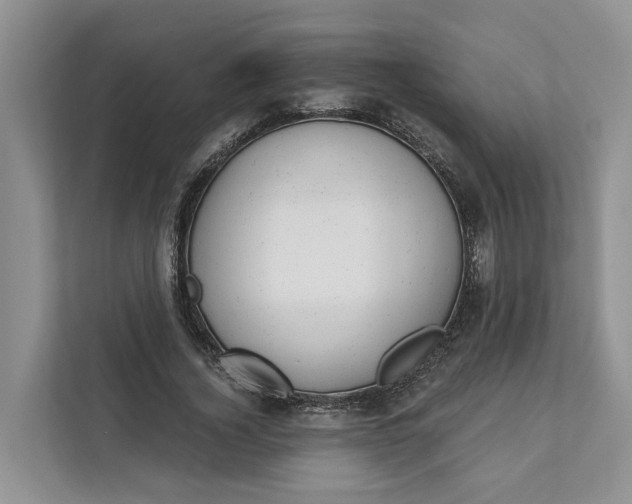 X0000111870732200908061253