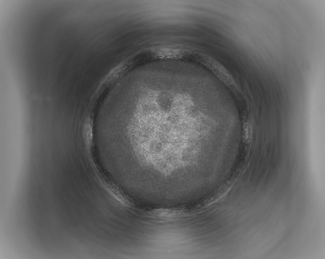 X0000111870733200908061253