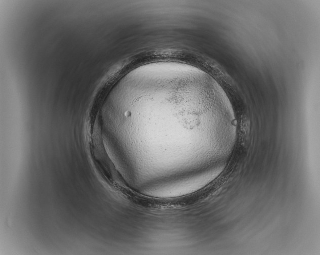 X0000111870734200908061253