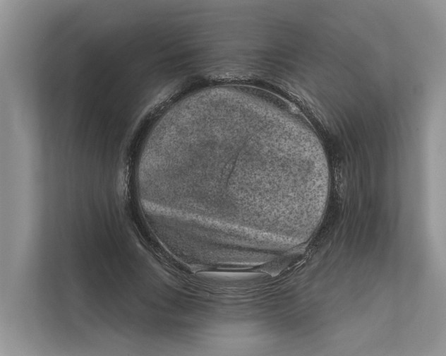 X0000111870735200908061253