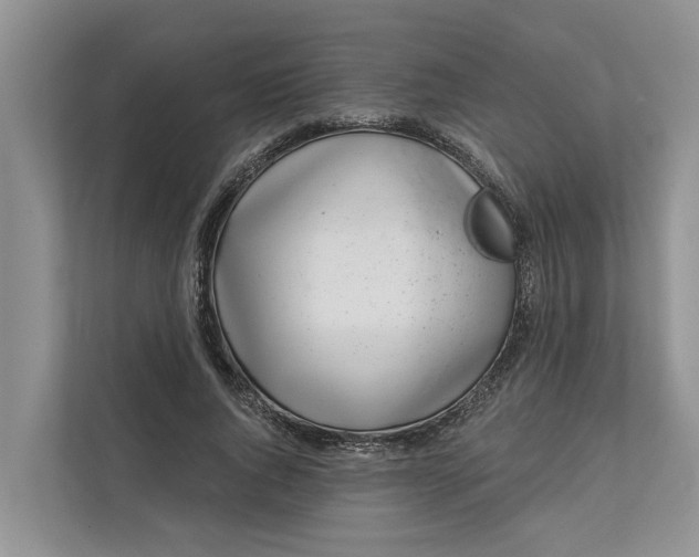 X0000111870736200908061253