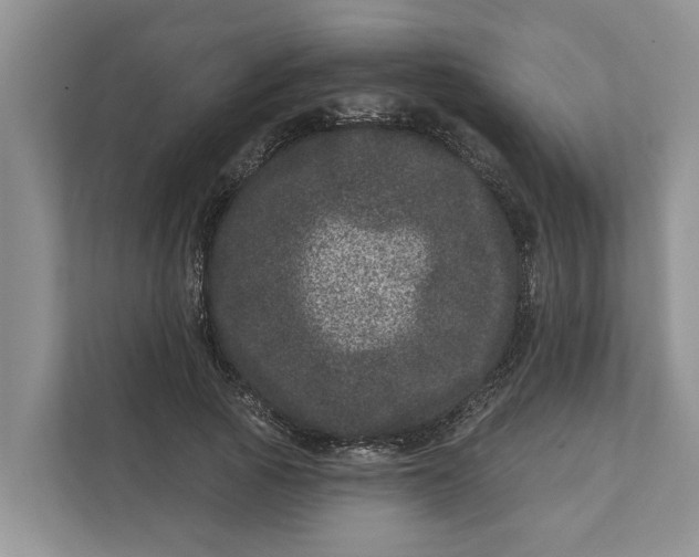 X0000111870737200908061253