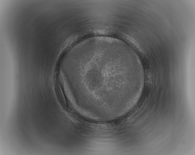 X0000111870738200908061253