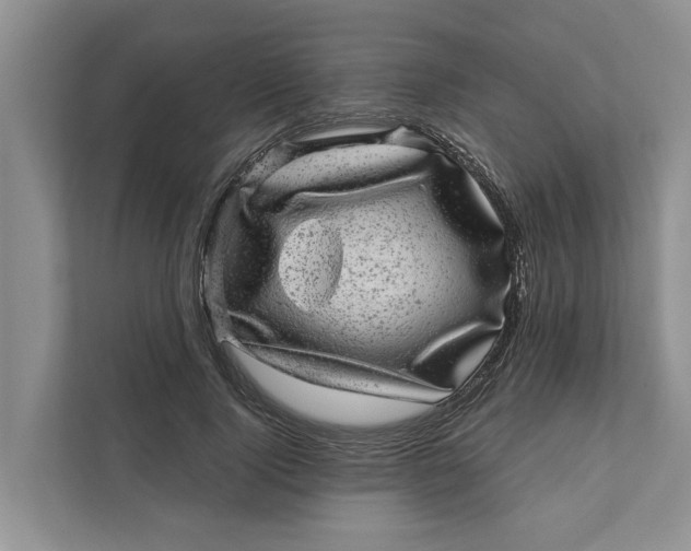 X0000111870740200908061253