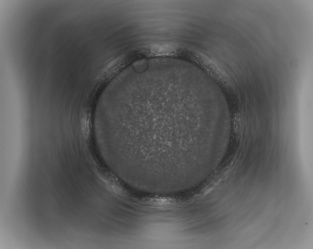 X0000111870741200908061253