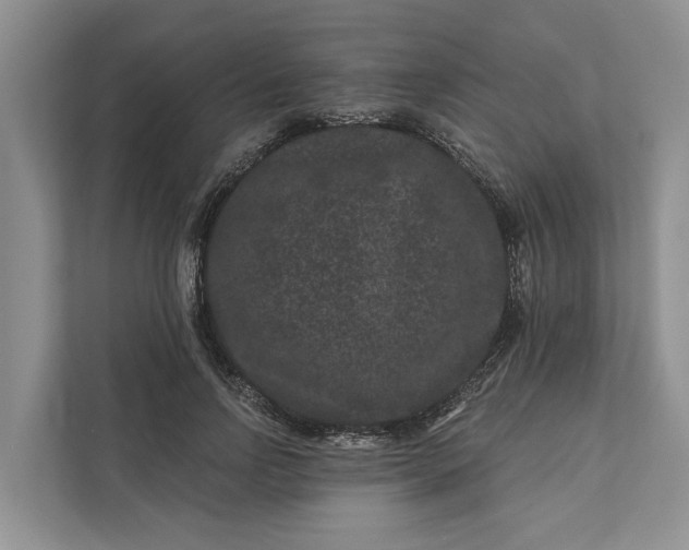 X0000111870742200908061253