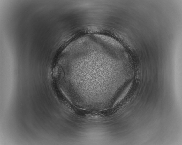 X0000111870743200908061253