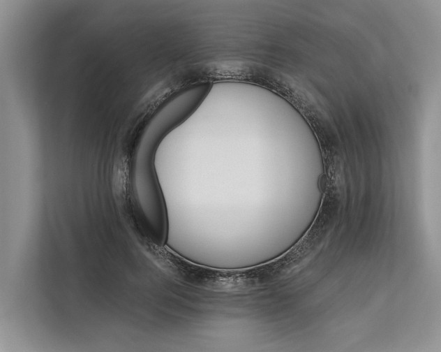 X0000111870744200908061253