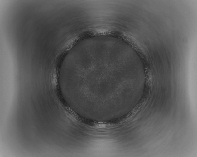 X0000111870746200908061253