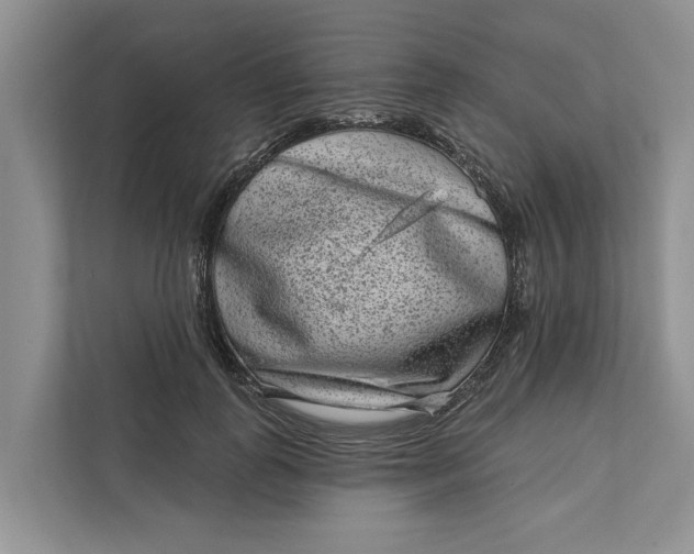 X0000111870747200908061253