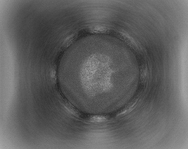 X0000111870749200908061253