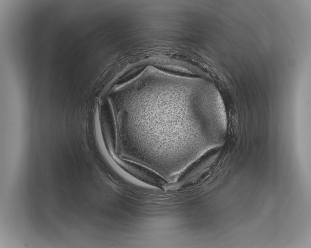 X0000111870750200908061253