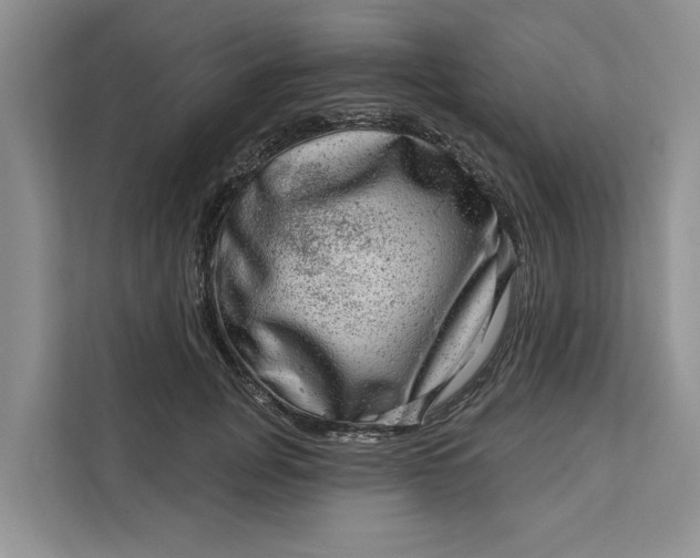 X0000111870751200908061253