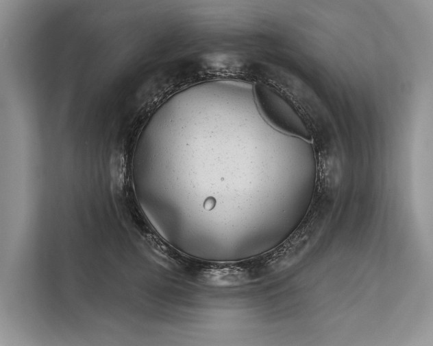 X0000111870752200908061253