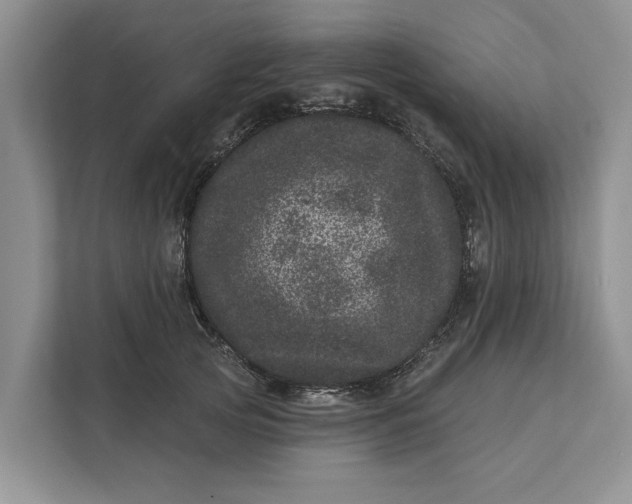 X0000111870753200908061253