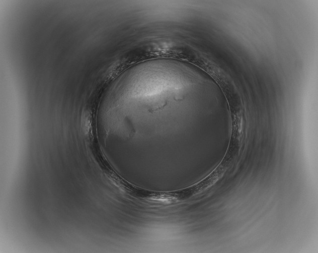 X0000111870754200908061254