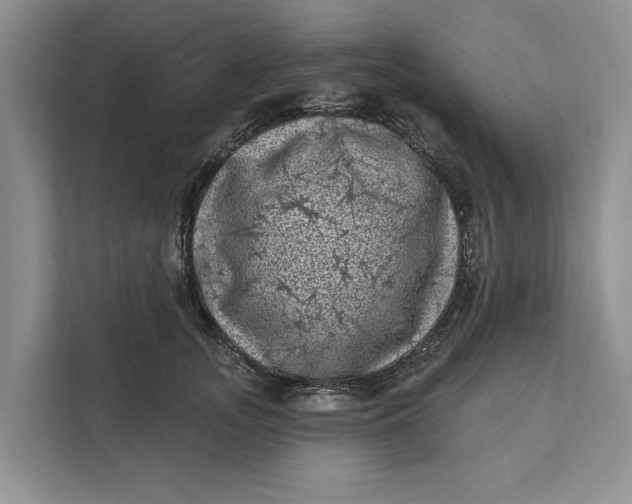 X0000111870755200908061254