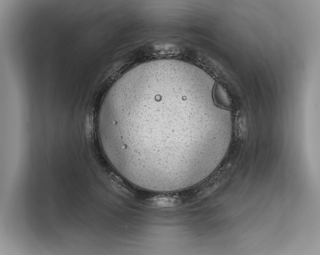 X0000111870756200908061254