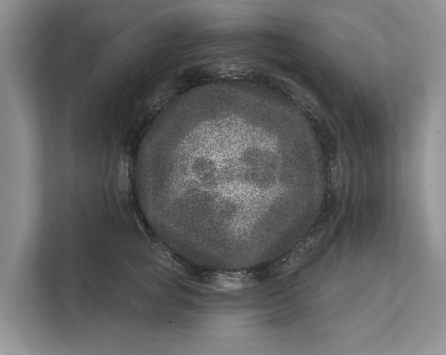 X0000111870757200908061254