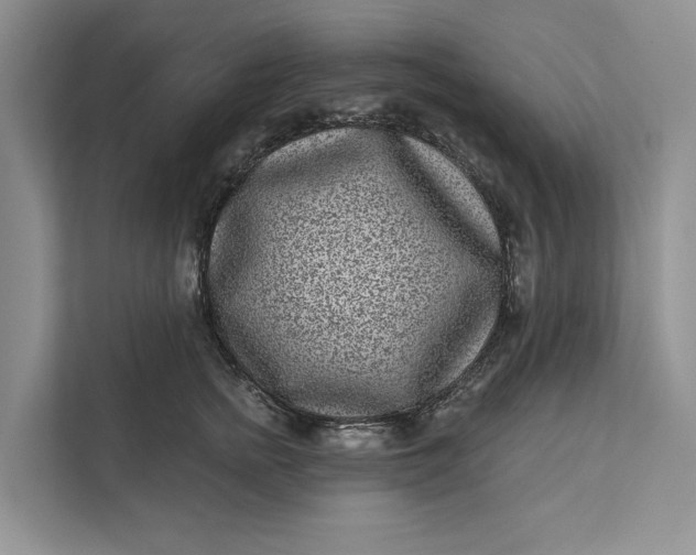 X0000111870758200908061254