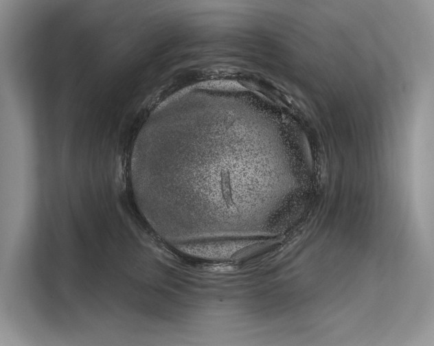 X0000111870759200908061254