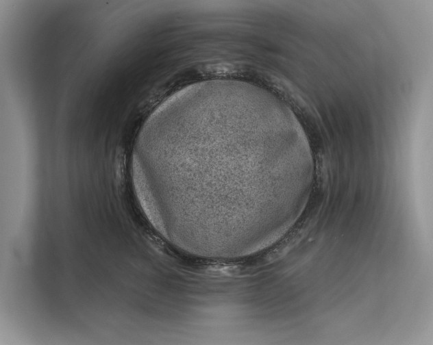 X0000111870760200908061254