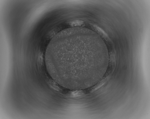 X0000111870761200908061254