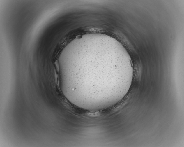 X0000111870762200908061254