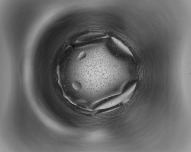 X0000111870764200908061254