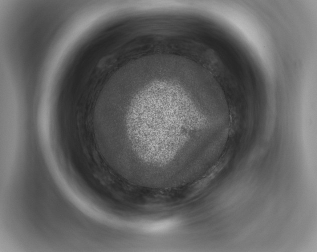 X0000111870765200908061254