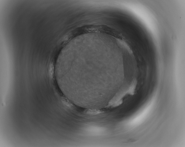 X0000111870767200908061254