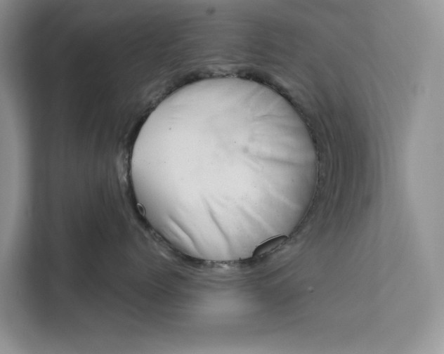 X0000111870768200908061254