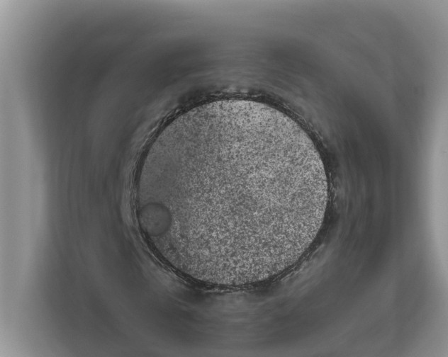 X0000111870769200908061253