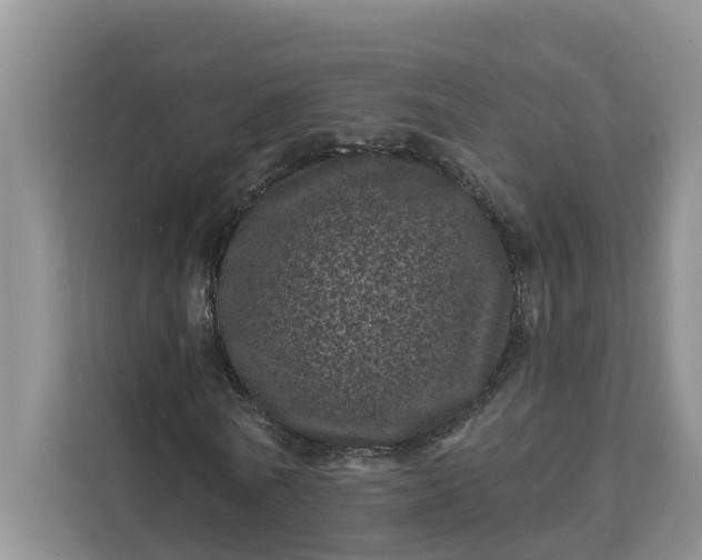 X0000111870770200908061253