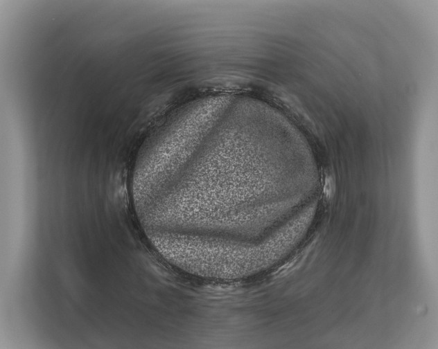 X0000111870771200908061253