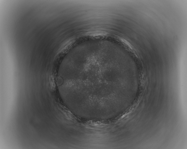 X0000111870774200908061253