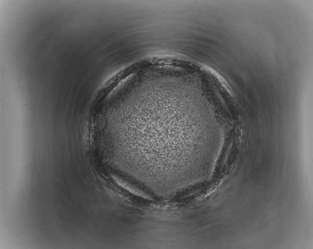 X0000111870775200908061253