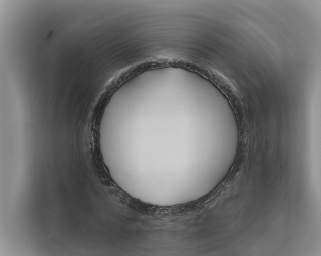 X0000111870776200908061253