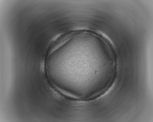 X0000111870777200908061253