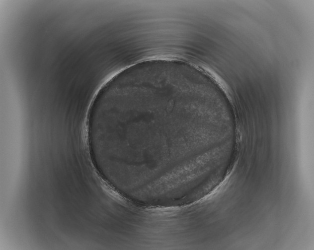 X0000111870779200908061253