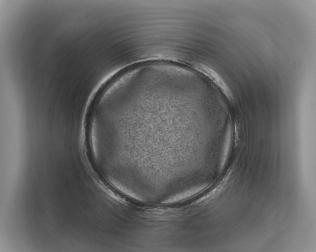 X0000111870780200908061253